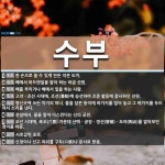 수부 뜻: 한 손으로 쓸 수 있게 만든 작은 도끼., 배에서 허드렛일을 맡아 하는 하급 선원., 배를 [국어 사전]