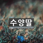 수양딸 뜻
