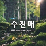 수진매 뜻