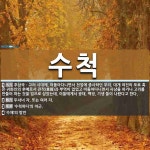 수척 뜻: 후삼국ㆍ고려 시대에, 떠돌아다니면서 천업에 종사하던 무리. 대개 여진의 포로 혹은 귀화인의 [국어 사전]