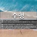 수청 뜻: 높은 벼슬아치 밑에서 심부름을 하던 일., 아녀자나 기생이 높은 벼슬아치에게 몸을 바쳐 시 [국어 사전]