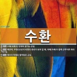수환 뜻: 수해(水害)로 인하여 생기는 근심., 예전에, 부형(父兄)이 타향의 관리가 되어 갈 때, [국어 사전] 수환 뜻: 수해... 