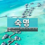숙명 뜻