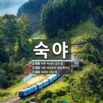 숙야 뜻: 이른 아침과 깊은 밤., 이른 아침부터 밤늦게까지., 장례식 전날 밤. [국어 사전]