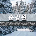 순강원 뜻: 경기도 남양주시 진접읍에 있는, 조선 선조의 후궁 인빈 김씨(仁嬪金氏)의 무덤. 영조 31