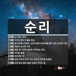 순리 뜻: 순시하는 관리., 이익만 좇다가 몸을 망침., 총이익에서 영업비, 잡비 따위의 총비용을 빼 [국어 사전]