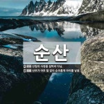 순산 뜻: 산림의 사정을 살피러 다님., 산모가 아무 탈 없이 순조롭게 아이를 낳음. [국어 사전]
