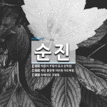 순진 뜻