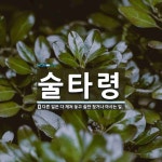 술타령 뜻