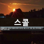 스콜 뜻: 열대 지방에서 대류에 의하여 나타나는 세찬 소나기. 강풍, 천둥, 번개 따위를 수반하는 경