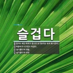 슬겁다 뜻: 집이나 세간 따위가 겉으로 보기보다는 속이 꽤 너르다., 마음씨가 너그럽고 미덥다., ‘슬 [국어 사전]