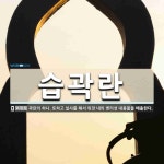 향란노래바 | 습곽란 뜻