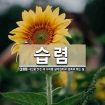 습렴 뜻: 시신을 씻긴 뒤 수의를 갈아입히고 염포로 묶는 일.