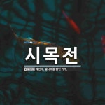 시목전 뜻