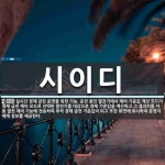 시이디 뜻