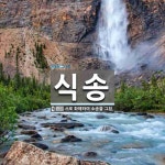 식송 뜻