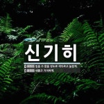 신기히 뜻: 믿을 수 없을 정도로 색다르고 놀랍게., 새롭고 기이하게. [국어 사전]