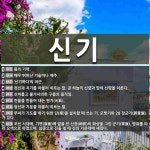 신기 뜻