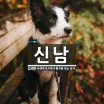 신남 뜻: 속세에 있으면서 불교를 믿는 남자.