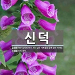 신덕 뜻