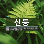신등 뜻: 신하들이 임금을 상대하여 자기들을 가리키는 일인칭 대명사., 신명(神明) 앞에 켜는 등불. [국어 사전]
