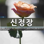 신정장 뜻: 악장(樂章)의 이름. 정대업지무에 있어 방진(方陣)에서 처음의 배열로 돌아가기까지의 동안에