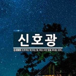 신호광 뜻