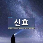 신효 뜻: 신기한 효과나 효험이 있음. 또는 그 효과나 효험.