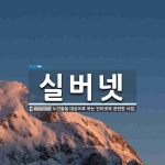 실버넷 뜻