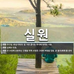 실원 뜻: 연구실, 분실 따위의 ‘실’ 자로 끝나는 부서에 속하는 사람., 실제의 인원., 큰 소원에 [국어 사전]