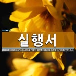 실행서 뜻: 이디피(EDP) 시스템으로 개발된 업무를 컴퓨터로 조작할 수 있도록 만든 문서.
