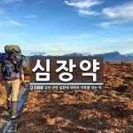 심장약 뜻: 심장 관련 질환에 대하여 약효를 내는 약.