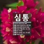 심통 뜻: 도막도막 끊어져 있는 광맥., 마땅치 않게 여기는 나쁜 마음., 마음속으로 느껴 뜻이 통함 [국어 사전]