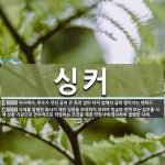 싱커 뜻