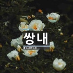 쌍내 뜻