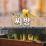 씨방 뜻: 속씨식물의 암술대 밑에 붙은 통통한 주머니 모양의 부분. 그 속에 밑씨가 들어 있다., ‘ [국어 사전]