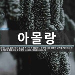 아몰랑 뜻