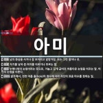 아미 뜻: 남의 환심을 사거나 잘 보이려고 알랑거림. 또는 그런 말이나 짓., 자기를 낳아 준 여자를 [국어 사전]