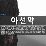 아선약 뜻