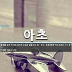 아초 뜻
