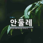 안둘레 뜻
