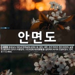 안면도 뜻
