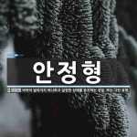안정형 뜻