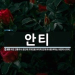 안티 뜻: 어떤 인물이나 집단에 거부감을 보이며 반대 의사를 표하는 사람이나 무리.