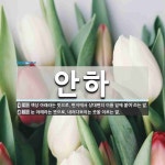 안하 뜻
