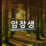 암장생 뜻: 암장에서 나온 것.