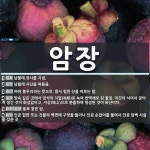 암장 뜻: 남몰래 장사를 지냄., 남몰래 시신을 파묻음., 바위 봉우리라는 뜻으로, 몹시 험한 산을 [국어 사전] 암장 뜻: 남몰래... 