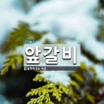 앞갈비 뜻: 앞쪽에 있는 늑골.