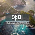 야미 뜻