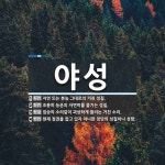 야성 뜻: 자연 또는 본능 그대로의 거친 성질., 조용히 농촌의 자연미를 즐기는 성질., 짐승의 소리 [국어 사전]